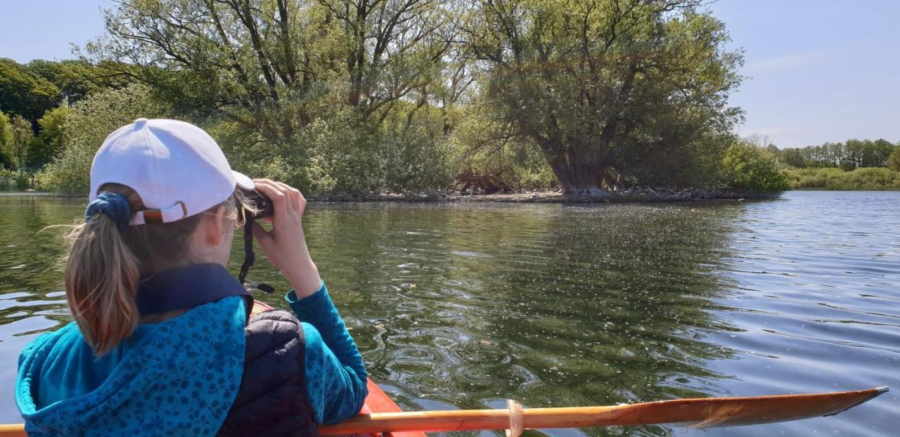 Ferienwohnungen Am Schwanensee เพลิน ภายนอก รูปภาพ